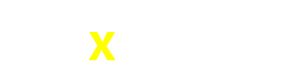 x333